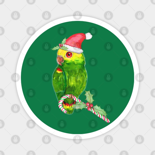 Amazon parrot Christmas style Magnet by Bwiselizzy